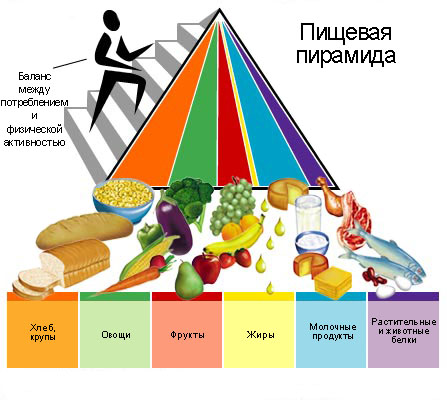 Здоровое питание меню Здоровое питание меню
